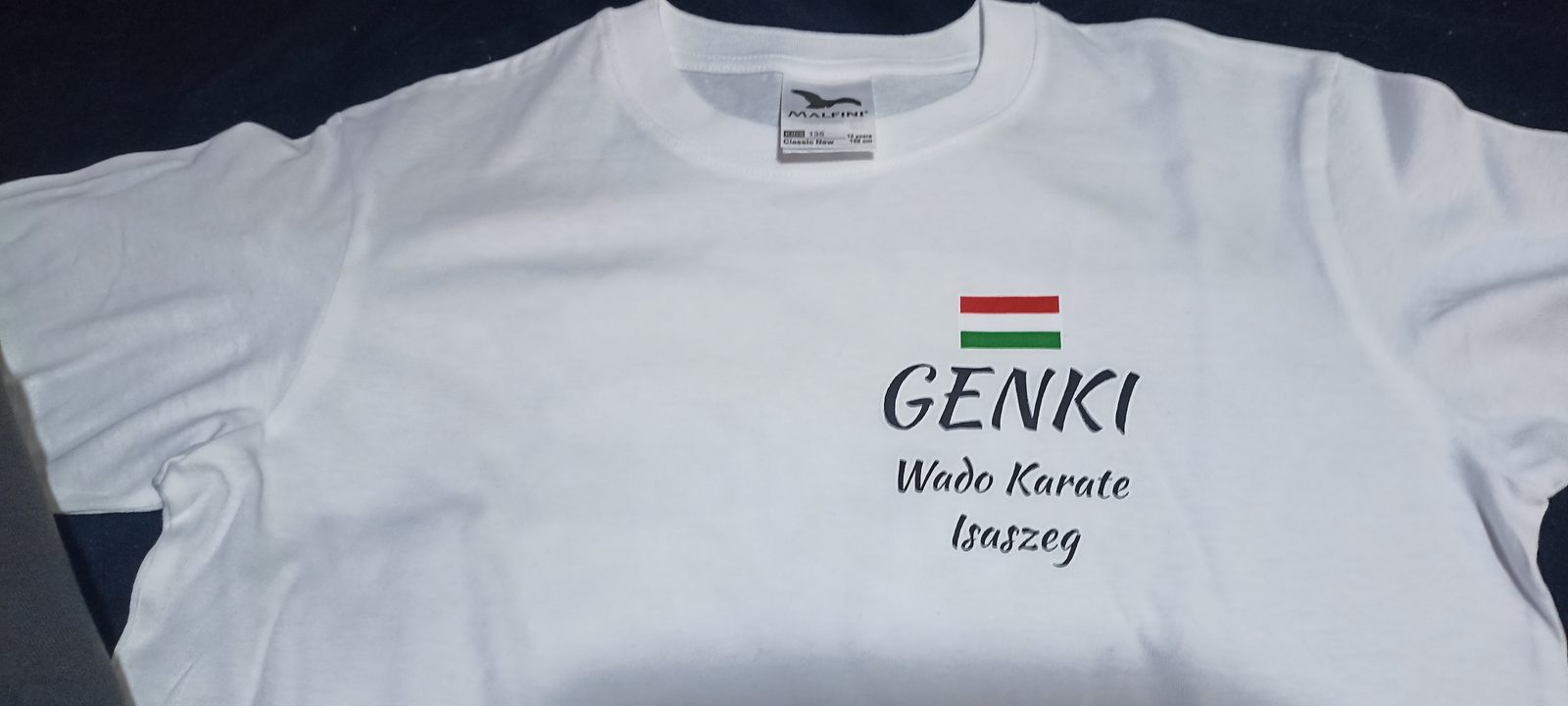 Genki Wado Karate gyerekpóló közeli